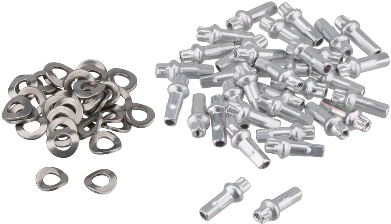 Dt-swiss Llanta RR 421 DB Disc Asymmetric Road 7 Dt-swiss Llanta RR 421 DB Disc Asymmetric Road - Imagen 5