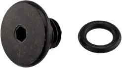 Shimano Tornillo De Purga Para BL-M445 / BL-M396