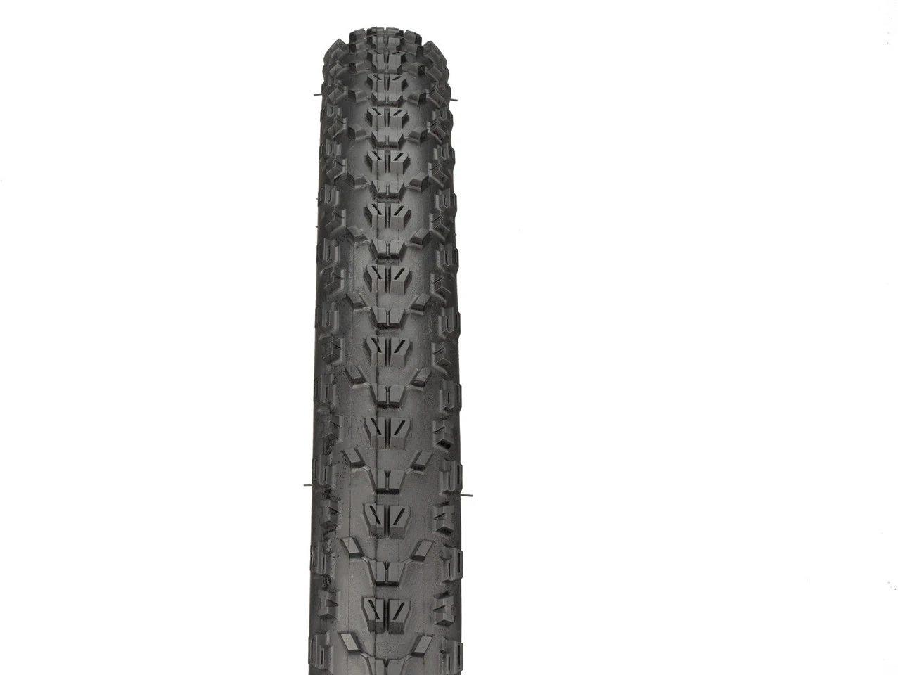 MAXXIS Cubierta Plegable Ardent Dual EXO TR 29" 6 MAXXIS Cubierta Plegable Ardent Dual EXO TR 29" - Imagen 4